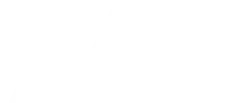 Pidzoom